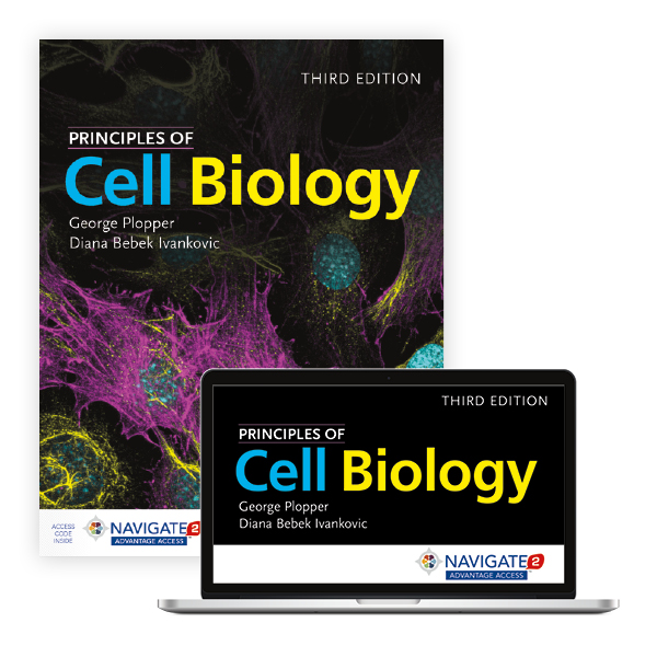 Principles of Cell Biology: 9781284149845