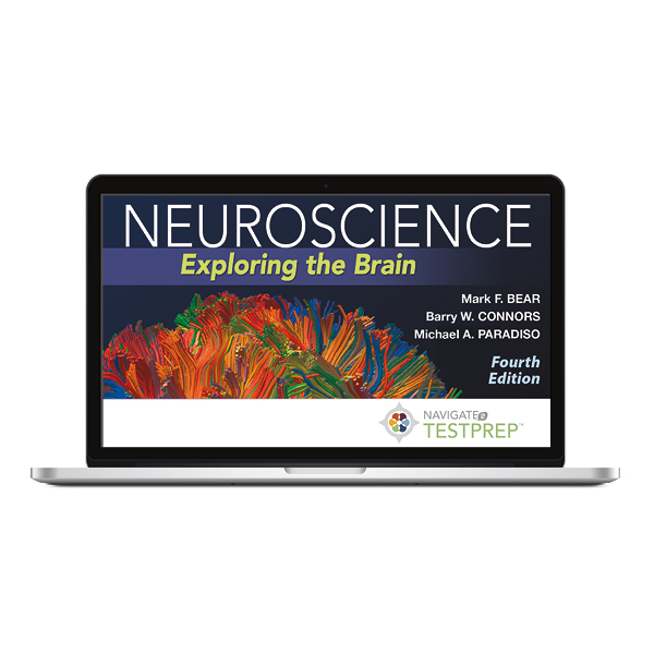 Navigate 2 Testprep Neuroscience Exploring The Brain