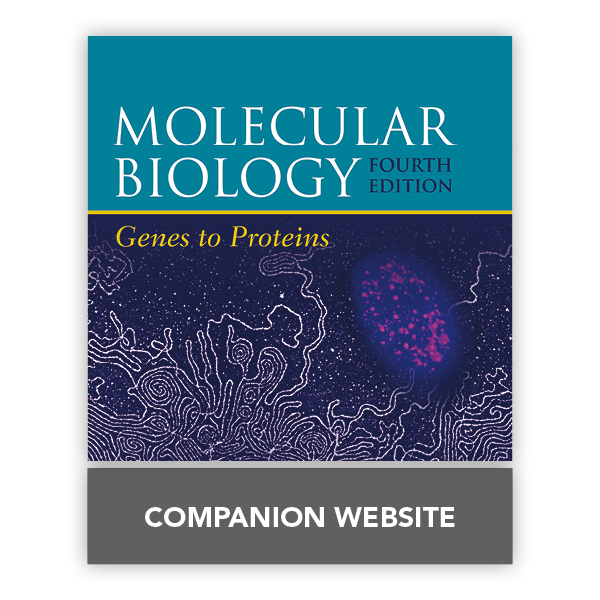 principles-of-molecular-biology